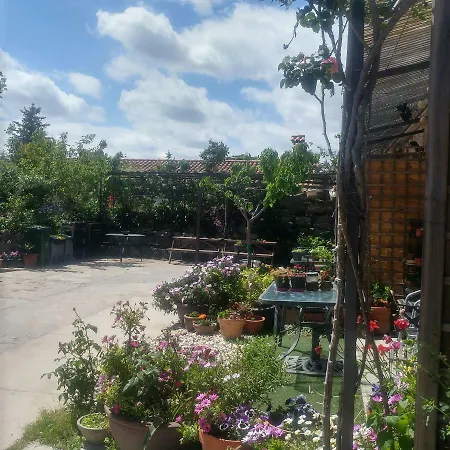 Navicgirona Casa de Férias *